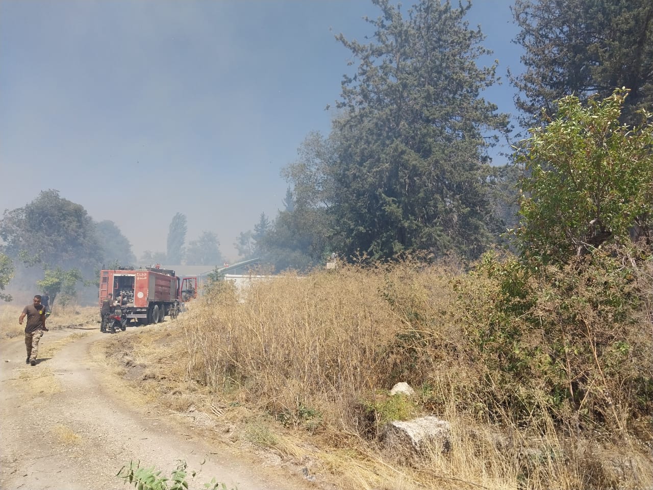 بالصور - احتراق أعشاب عملاقة يابسة في حرم قلعة بعلبك